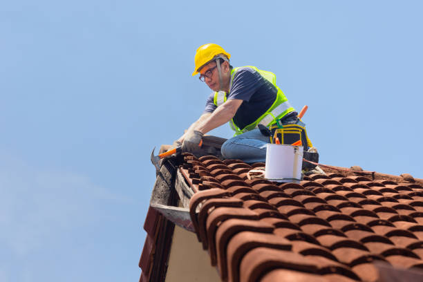 Fast & Reliable Emergency Roof Repairs in North Branch, MI